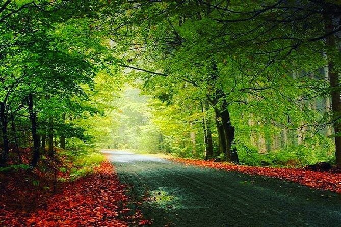 QUBA & QUSAR TOUR VIP transfer luxury experience historic landmarks