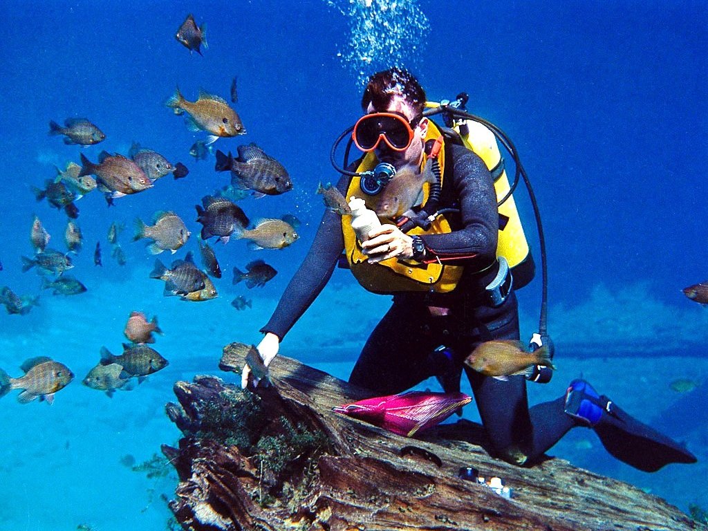 Bodrum Scuba Diving Tour adventure tour gallery thumbnail premium travel