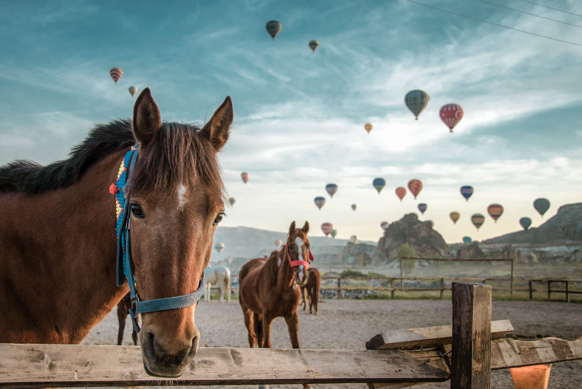 CAPPADOCIA HORSEBACK RIDING TOUR sunset view VIP transfer luxury experience