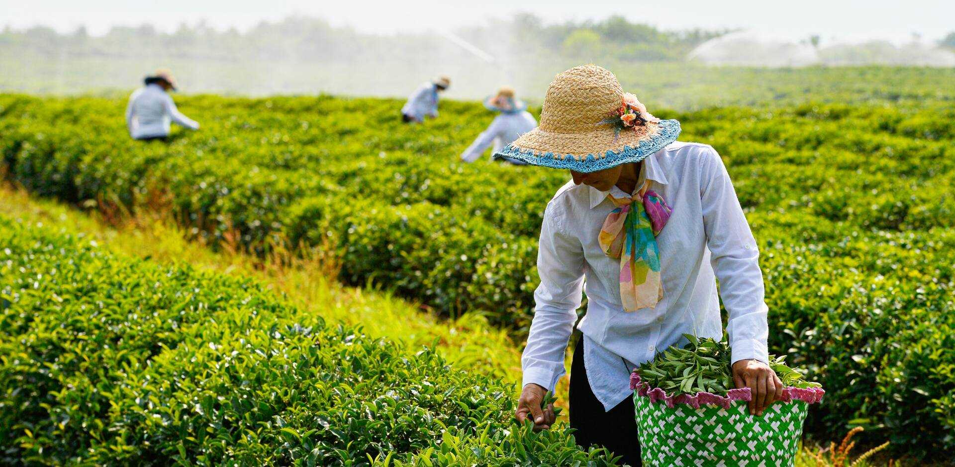 LANKARAN & ASTARA TOUR VIP transfer luxury experience historic landmarks