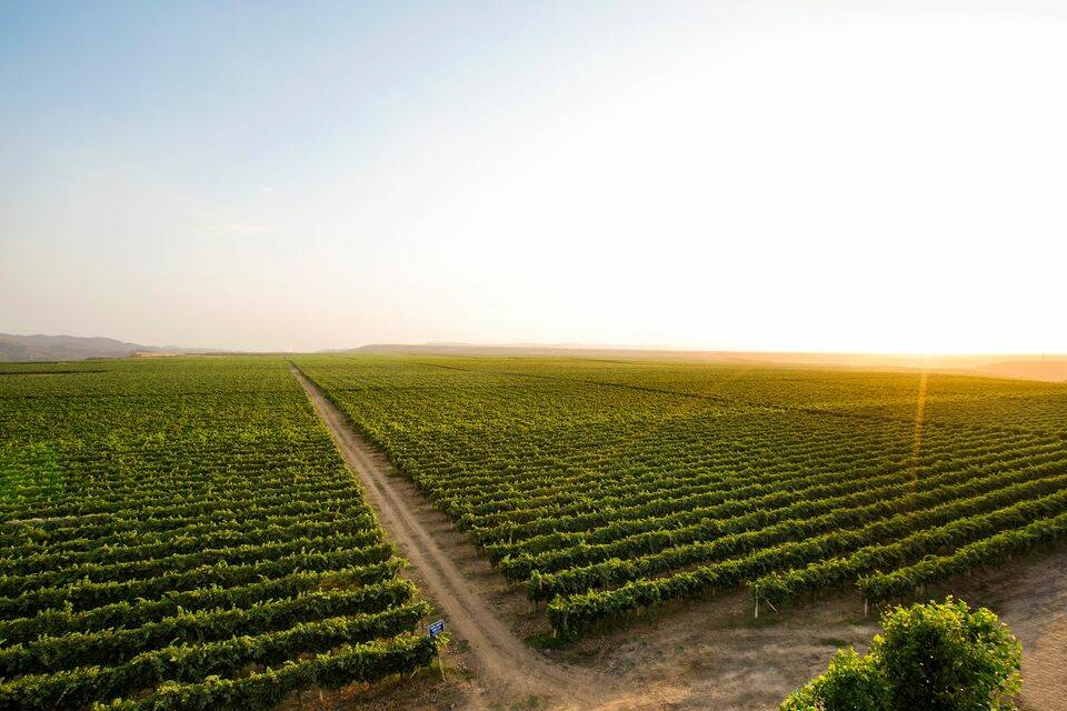 AZERBAIJAN WINE TOUR VIP transfer luxury experience culinary delights