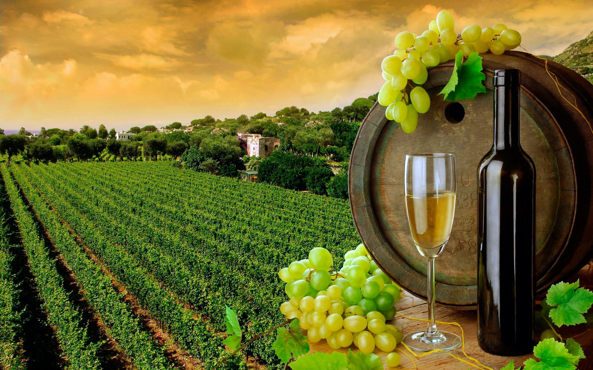 GASTRONOMIC FOOD & WINE TOUR VIP transfer luxury experience nature escape