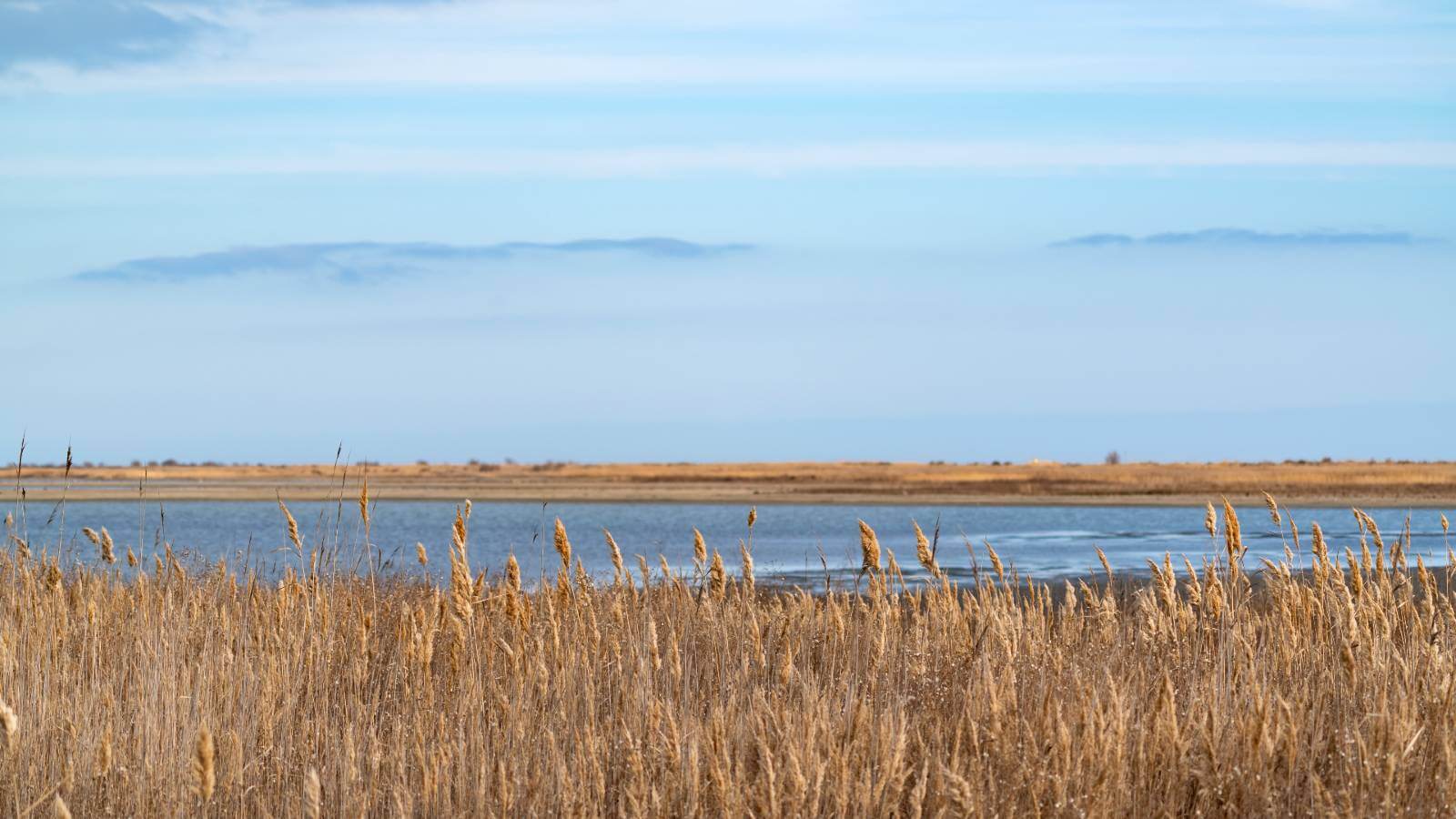 BAKU NATURE & ECOTOURISM TOUR VIP transfer luxury experience historic landmarks